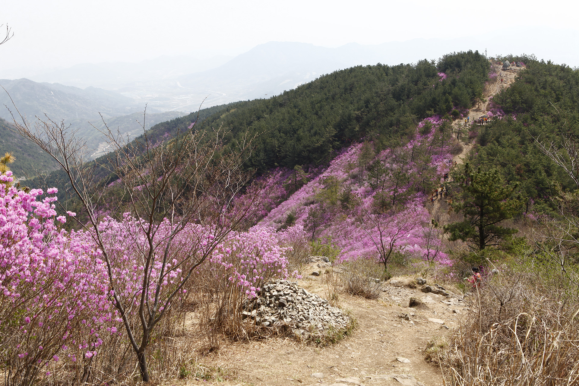 천주산